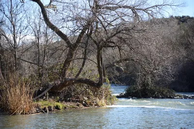 DSC_1096 (Large).JPG